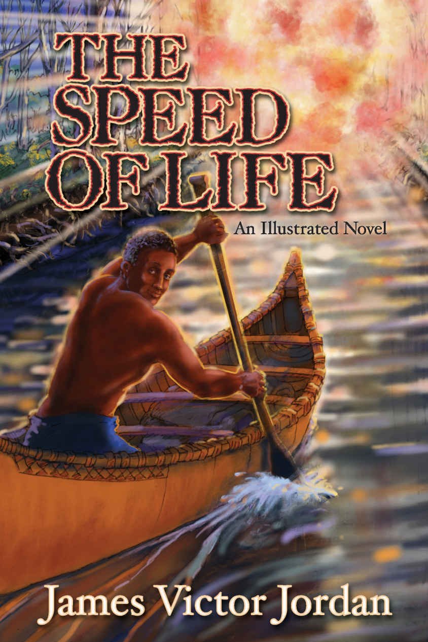 Cover of The Speed of Life