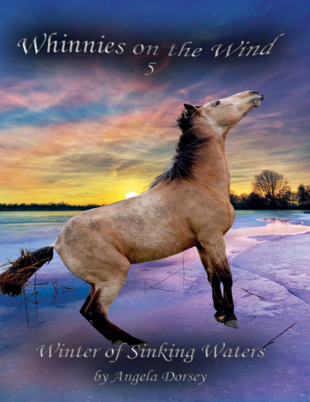 Cover of Winter of Sinking Waters