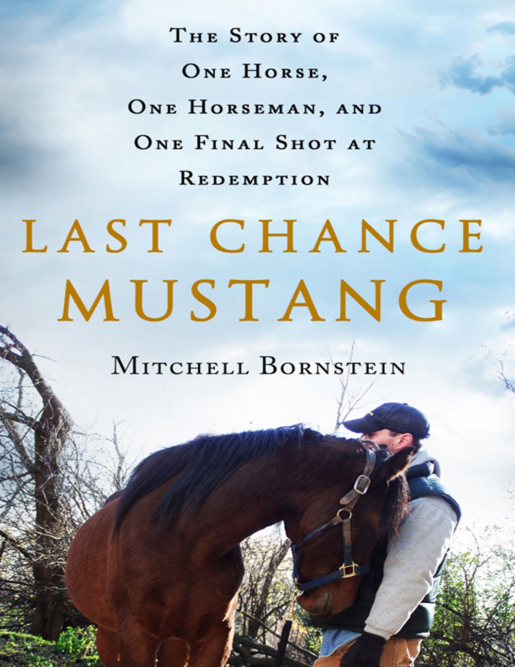Cover of Last Chance Mustang