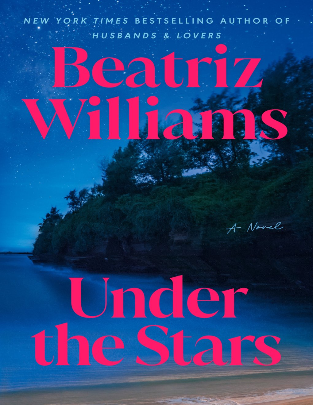 Cover of Under the Stars: A Novel