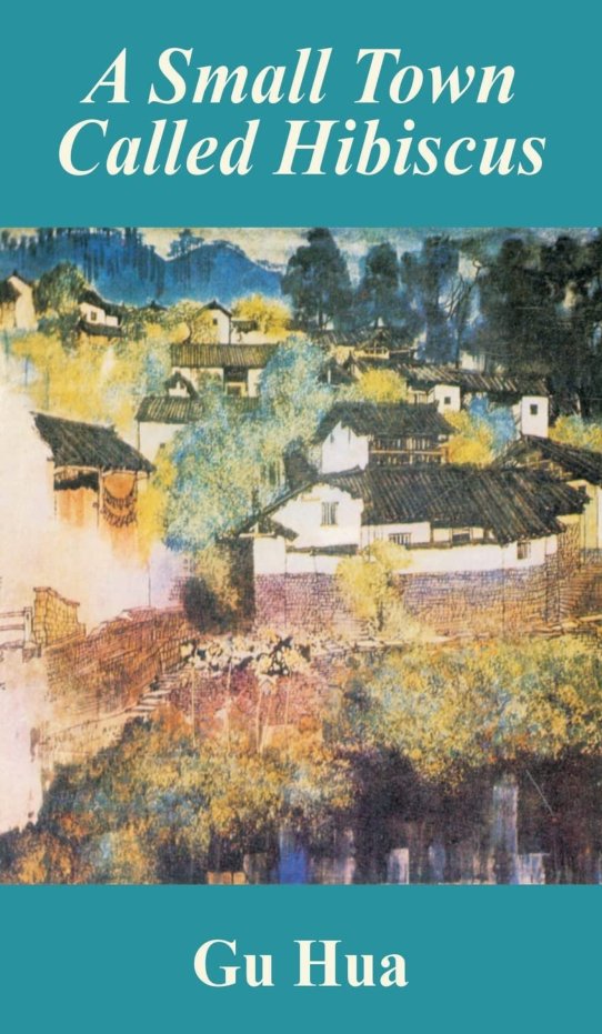 Cover of A small town called Hibiscus