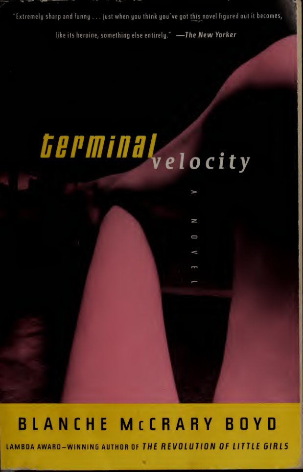 Cover of Terminal velocity