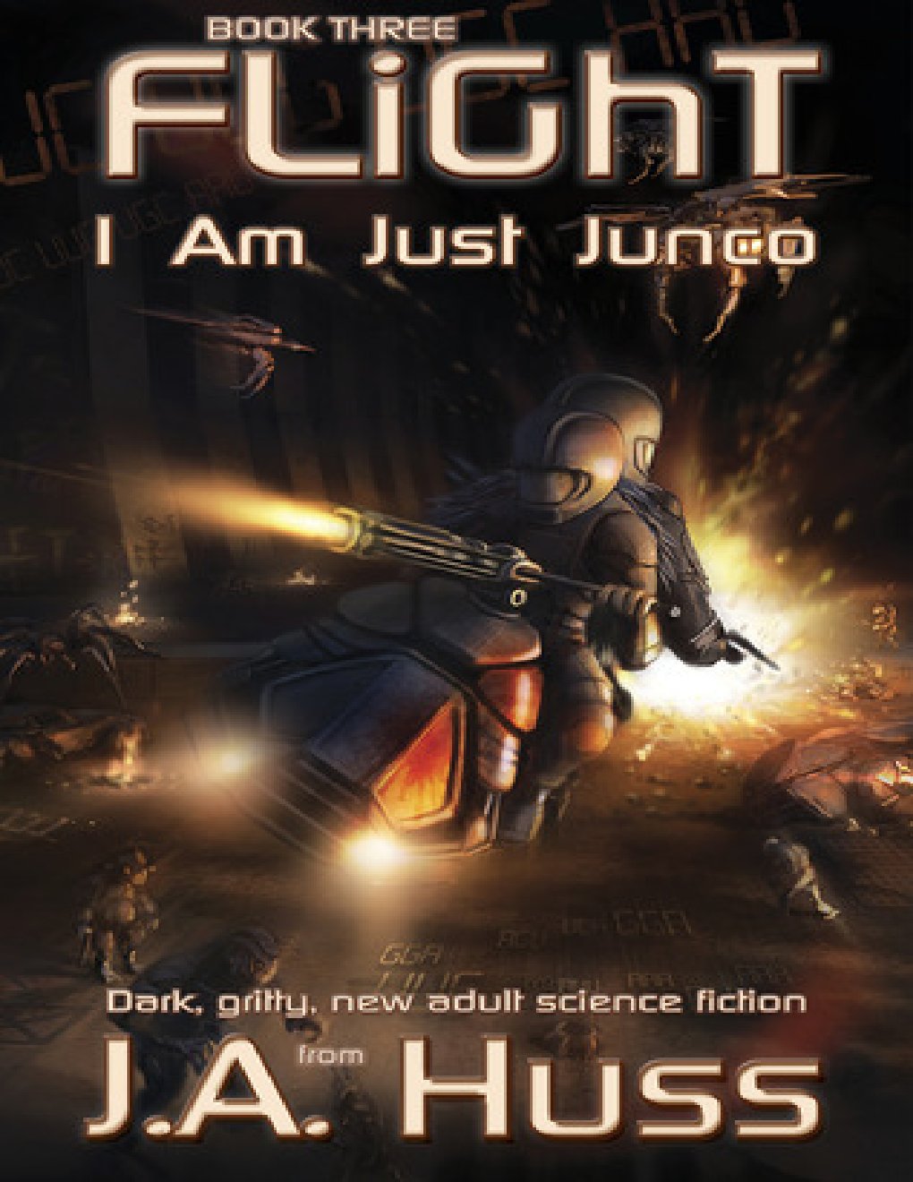 Cover of Flight