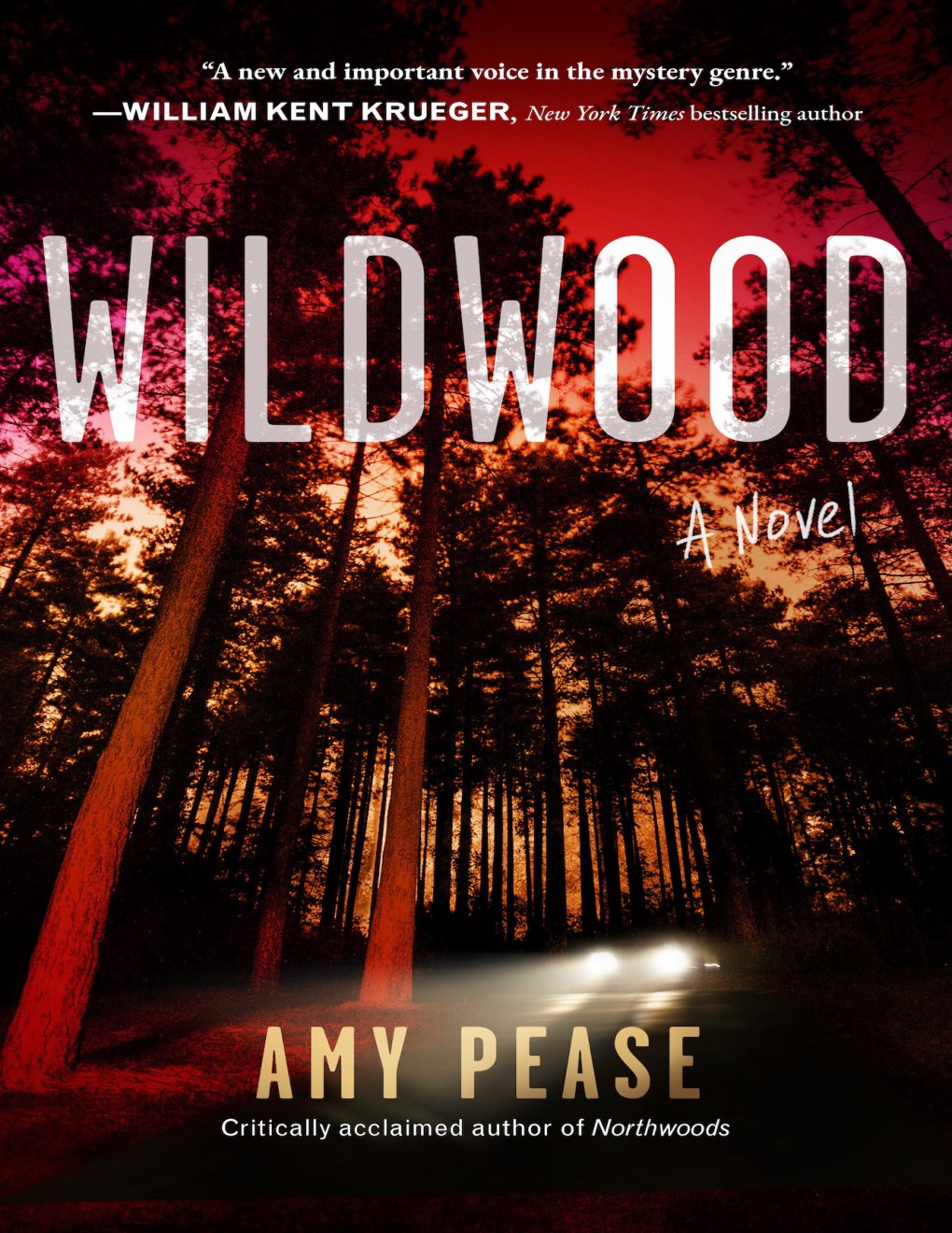 Cover of Wildwood: A Novel