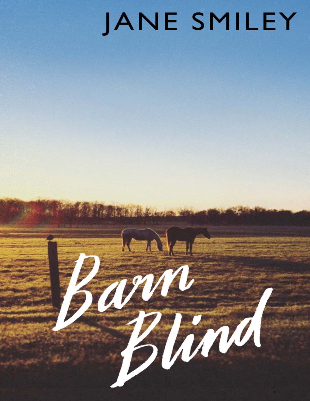 Cover of Barn Blind