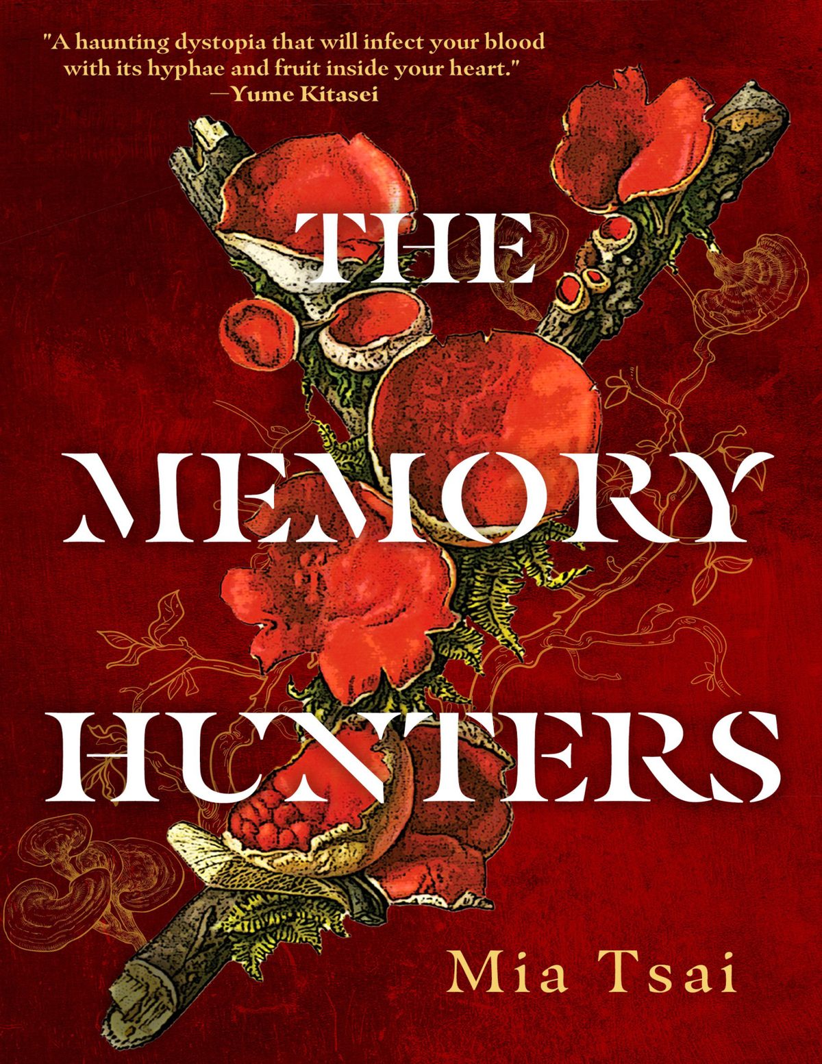 Cover of The Memory Hunters (1912)