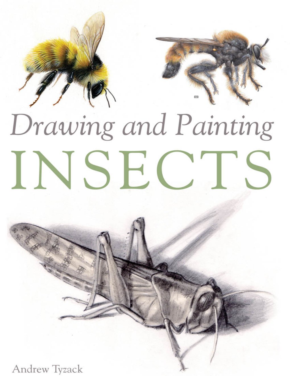 Cover of Drawing and Painting Insects