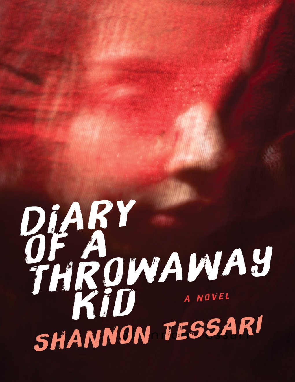 Cover of Diary Of A Throwaway Kid