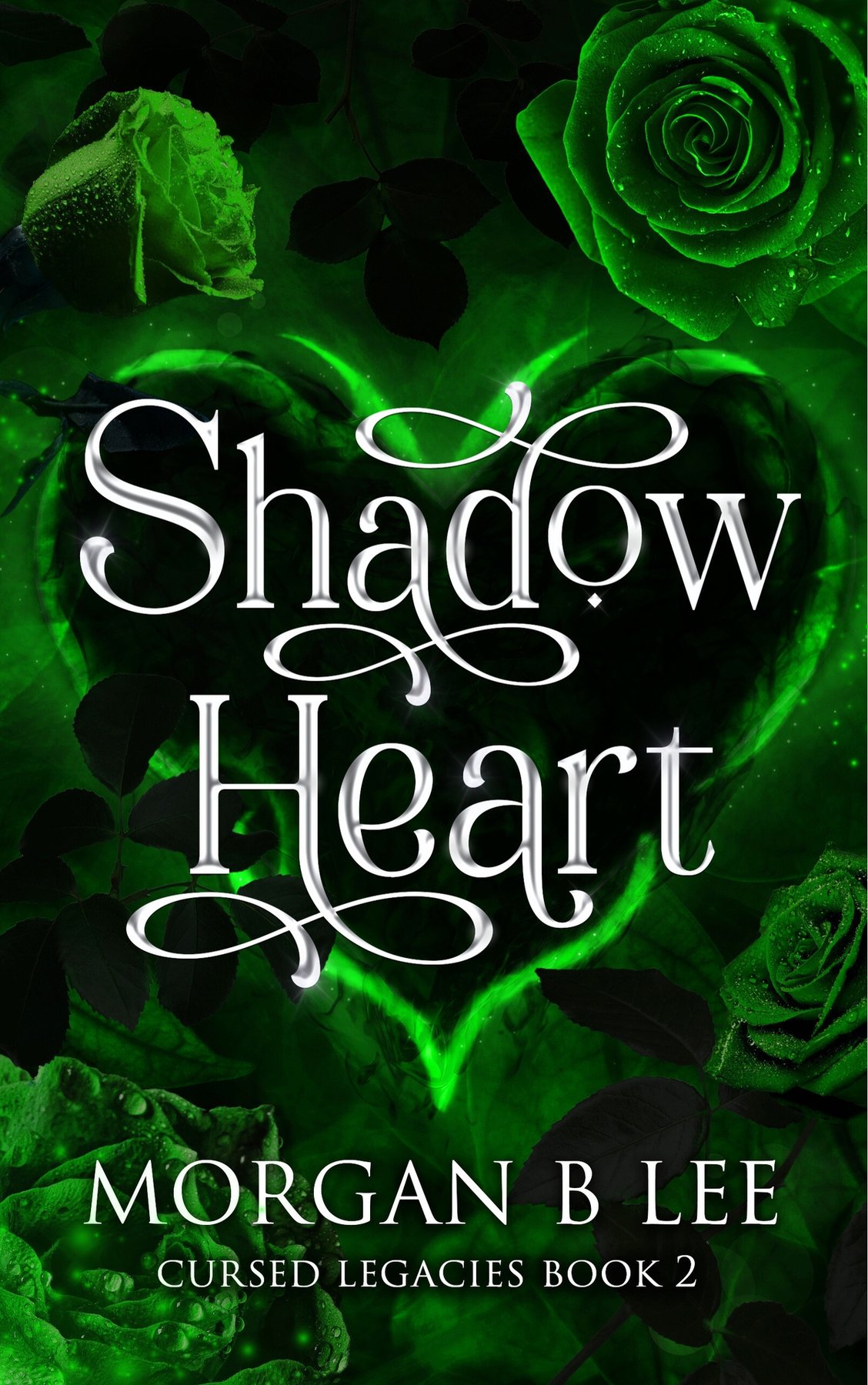 Cover of Shadow Heart- A Paranormal Reverse Harem Romance (2024)