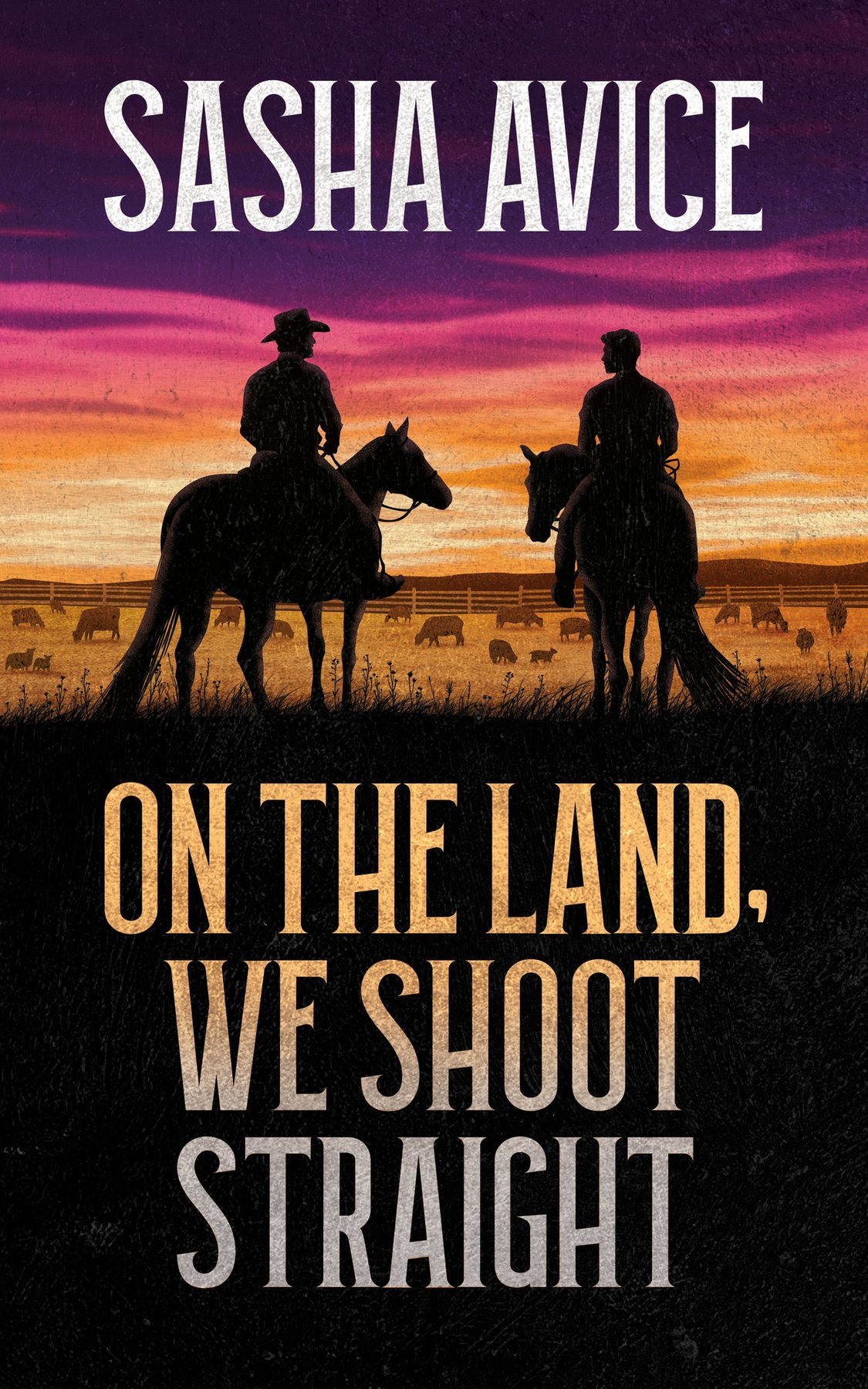 Cover of On the Land, We Shoot Straight