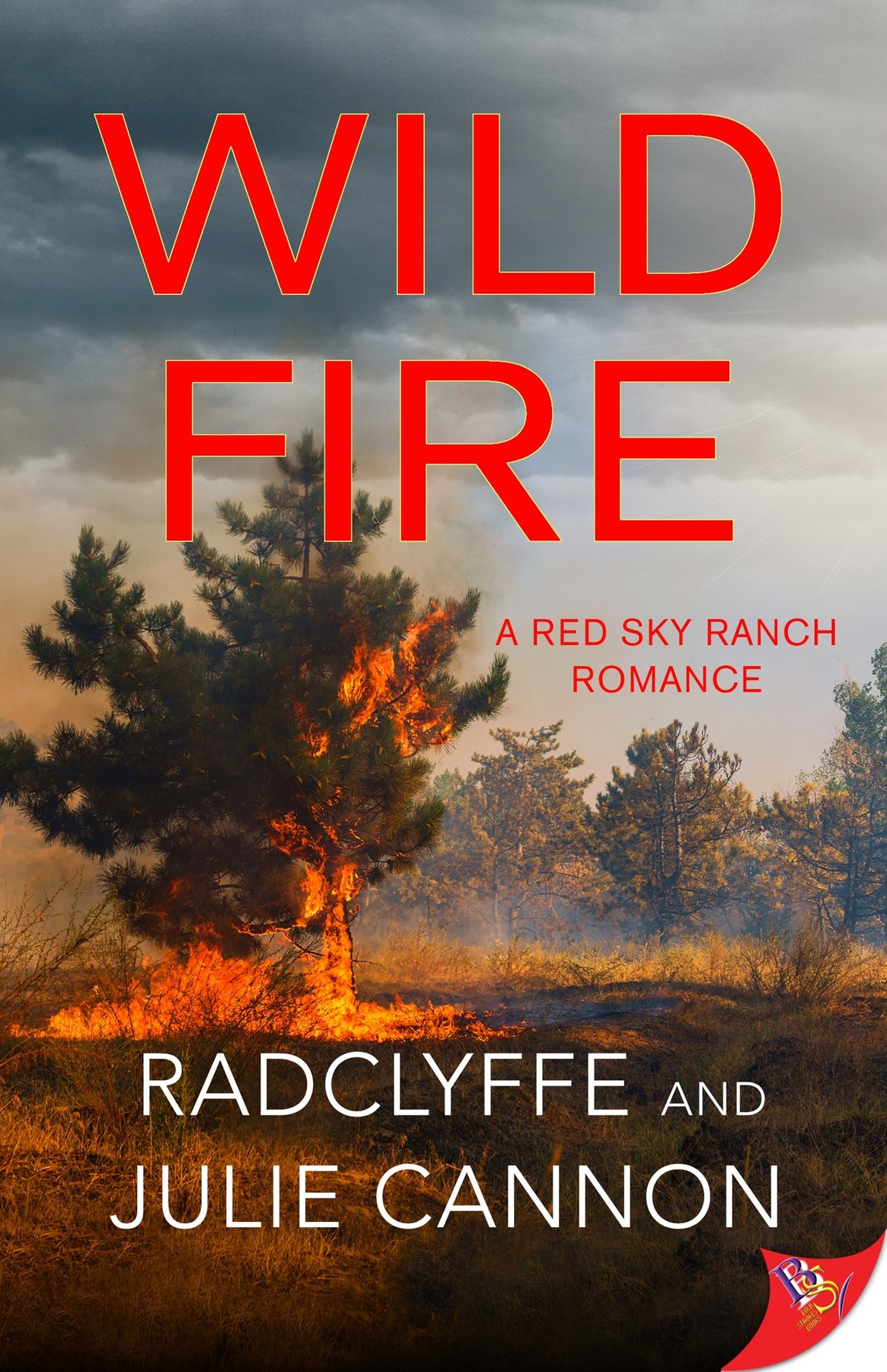 Cover of Wild Fire