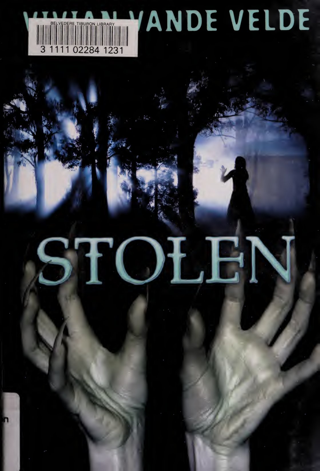 Cover of Stolen