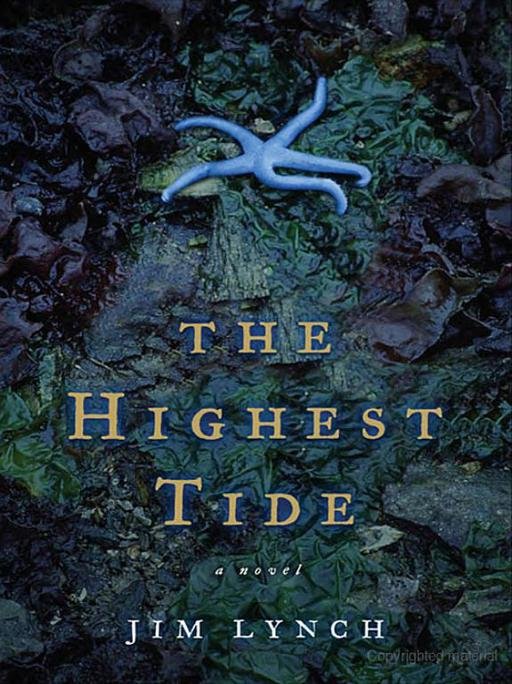 Cover of The Highest Tide- A Novel (1964)