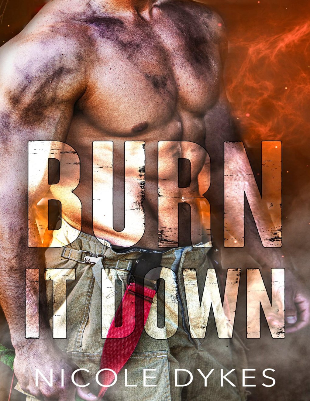 Cover of Burn It Down