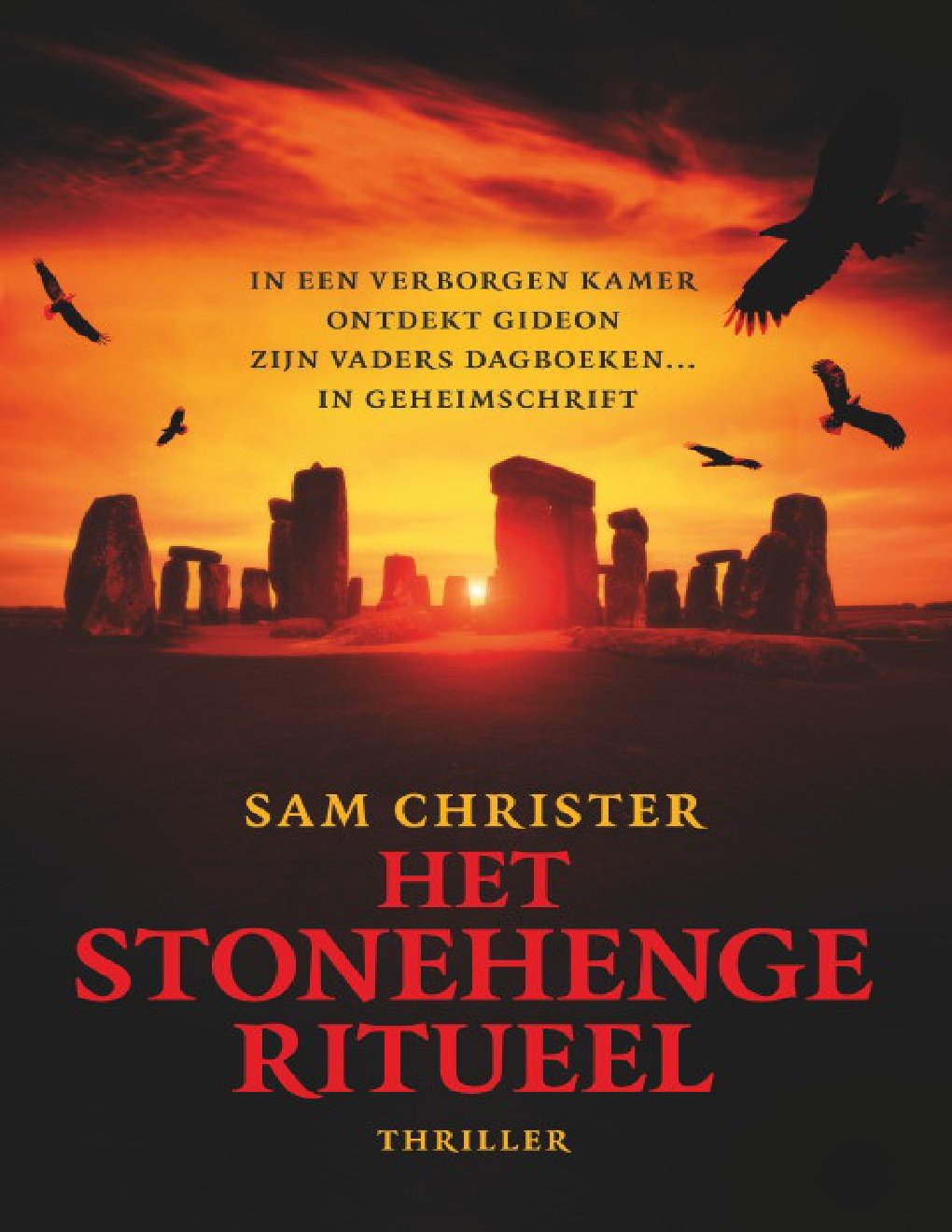 Cover of Het Stonehenge Ritueel (2011)
