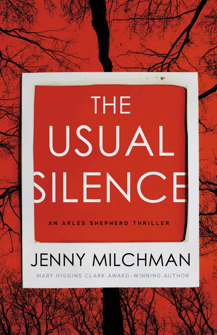 Cover of The Usual Silence