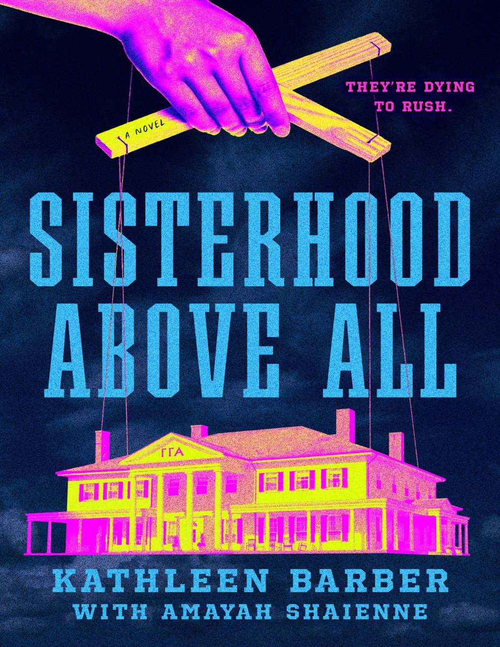 Cover of Sisterhood Above All