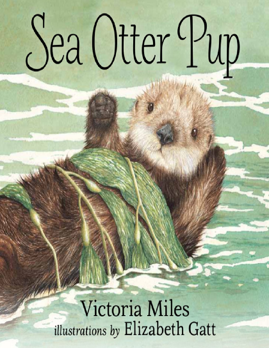 Cover of Sea Otter Pup