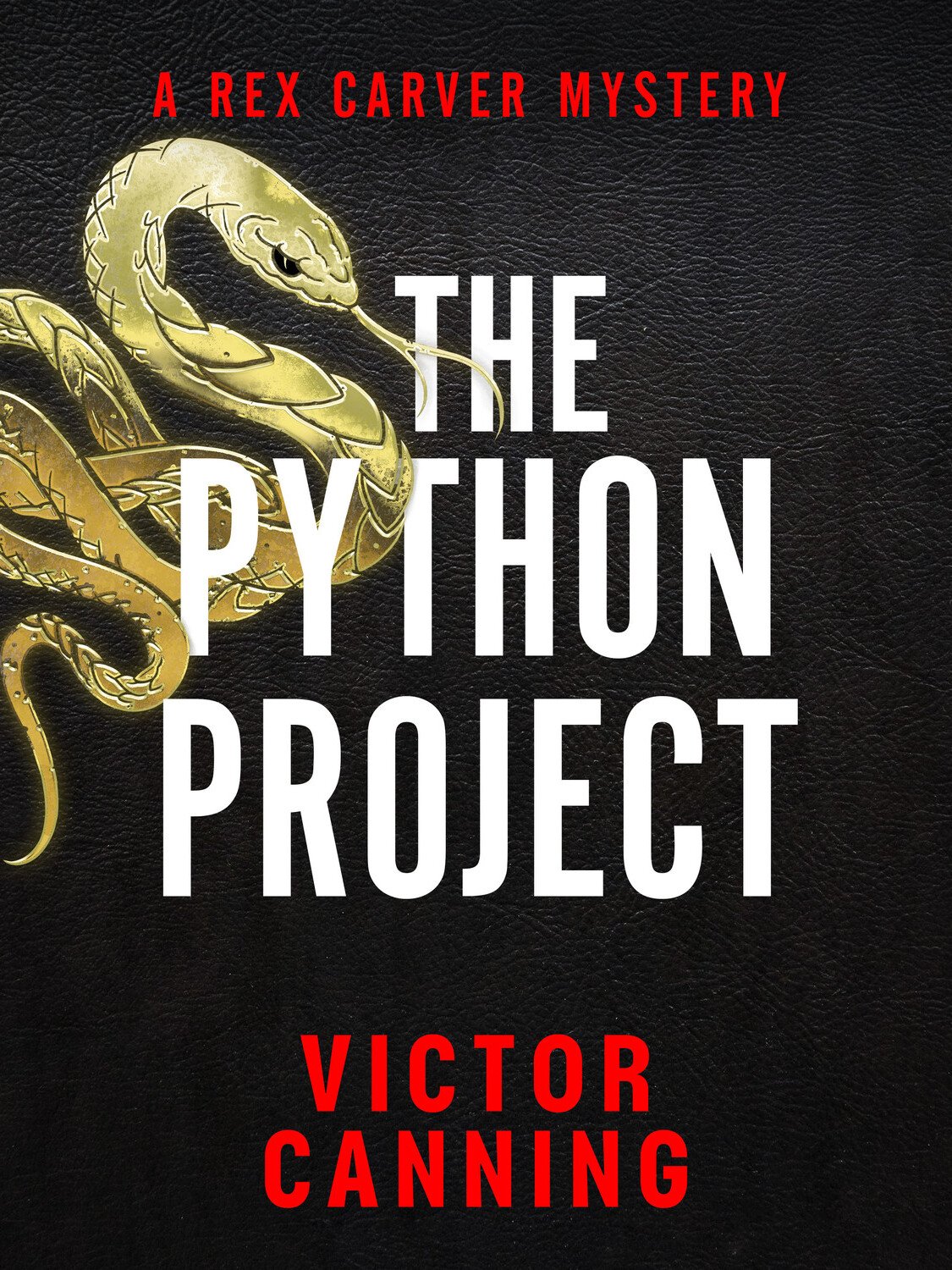 Cover of The Python Project