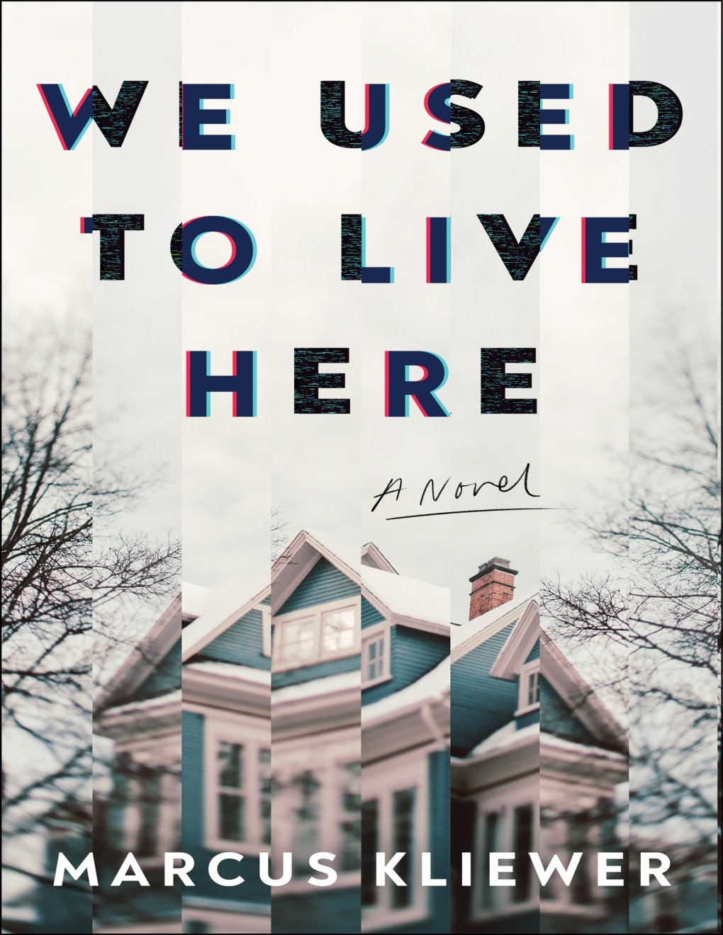 Cover of We Used to Live Here: A Novel